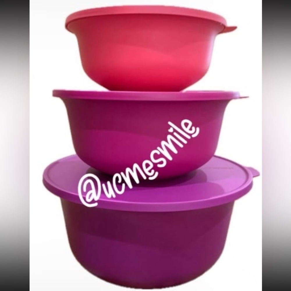 Tupperware Alfresco Aloha Nesting Mixing Bowls with matching Seals
